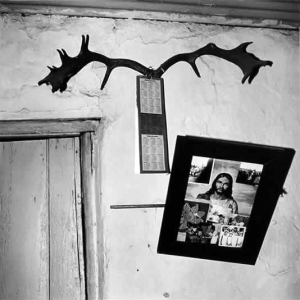 Wall, labourer&#039;s cottage, Carnarvon, 1984